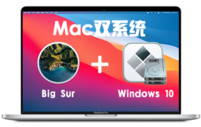 macOS Big Sur 11加装Windows 10 / Windows 11 双系统多分区 通用视频教程