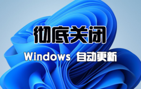 Win10/Win11如何完全彻底关闭自动更新