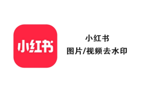 小宏树 图片/视频去水印 一键自动下载